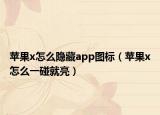 苹果x怎么隐藏app图标（苹果x怎么一碰就亮）