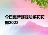 今日更新婺源油菜花花期2022