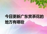 今日更新广东赏茶花的地方有哪些