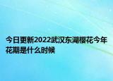 今日更新2022武汉东湖樱花今年花期是什么时候