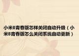 小米8青春版怎样关闭自动升级（小米8青春版怎么关闭系统自动更新）