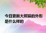 今日更新大熊猫的外形是什么样的