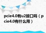 pcie4.0有u2接口吗（pcie4.0有什么用）