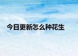 今日更新怎么种花生