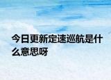 今日更新定速巡航是什么意思呀