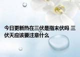今日更新热在三伏是指末伏吗 三伏天应该要注意什么