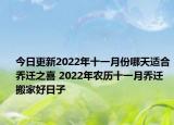 今日更新2022年十一月份哪天适合乔迁之喜 2022年农历十一月乔迁搬家好日子