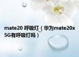 mate20 呼吸灯（华为mate20x5G有呼吸灯吗）