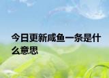 今日更新咸鱼一条是什么意思