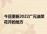今日更新2022广元油菜花开的地方