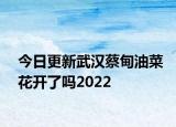 今日更新武汉蔡甸油菜花开了吗2022