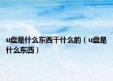 u盘是什么东西干什么的（u盘是什么东西）