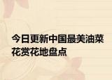 今日更新中国最美油菜花赏花地盘点