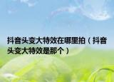 抖音头变大特效在哪里拍（抖音头变大特效是那个）