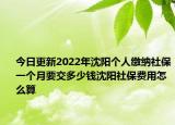今日更新2022年沈阳个人缴纳社保一个月要交多少钱沈阳社保费用怎么算