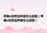 苹果x突然没声音怎么回事（苹果x突然没声音怎么回事）