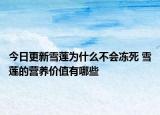 今日更新雪莲为什么不会冻死 雪莲的营养价值有哪些