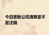 今日更新公司清算是不是注销