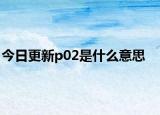 今日更新p02是什么意思