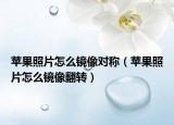 苹果照片怎么镜像对称（苹果照片怎么镜像翻转）