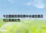 今日更新刑事犯罪中未遂犯是否可以免除处罚