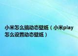 小米怎么搞动态壁纸（小米play怎么设置动态壁纸）
