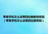 苹果手机怎么设置四位数解锁密码（苹果手机怎么设置四位数密码）