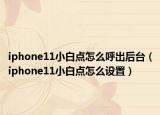 iphone11小白点怎么呼出后台（iphone11小白点怎么设置）