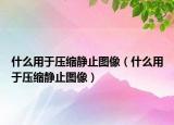 什么用于压缩静止图像（什么用于压缩静止图像）