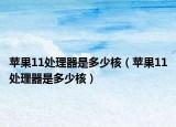 苹果11处理器是多少核（苹果11处理器是多少核）