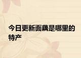 今日更新面藕是哪里的特产
