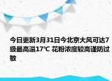 今日更新3月31日今北京大风可达7级最高温17℃ 花粉浓度较高谨防过敏
