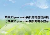 苹果11pro max关机充电自动开机（苹果11pro max关机充电不显示）