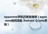 opporeno手机开发者选项（oppo reno如何适配 Android Q beta系统）