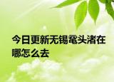 今日更新无锡鼋头渚在哪怎么去