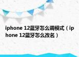 iphone 12蓝牙怎么调模式（iphone 12蓝牙怎么改名）