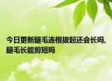 今日更新腿毛连根拔起还会长吗,腿毛长能剪短吗