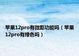 苹果12pro有微距功能吗（苹果12pro有绿色吗）