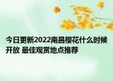 今日更新2022南昌樱花什么时候开放 最佳观赏地点推荐