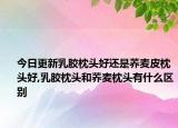 今日更新乳胶枕头好还是荞麦皮枕头好,乳胶枕头和荞麦枕头有什么区别