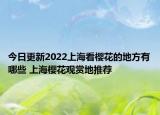 今日更新2022上海看樱花的地方有哪些 上海樱花观赏地推荐