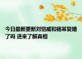 今日最新更新刘恺威和杨幂复婚了吗 进来了解真相
