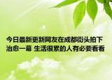 今日最新更新网友在成都街头拍下治愈一幕 生活很累的人有必要看看