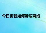 今日更新如何诉讼离婚