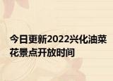 今日更新2022兴化油菜花景点开放时间
