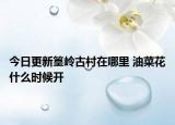 今日更新篁岭古村在哪里 油菜花什么时候开