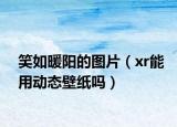 笑如暖阳的图片（xr能用动态壁纸吗）