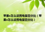 苹果x怎么设置电量百分比（苹果x怎么设置电量百分比）