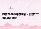微信2020账单在哪看（微信2020账单在哪看）