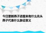 今日更新燕子进屋来有什么兆头 燕子代表什么象征意义